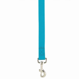 CC Lead 6FtX5/8In Blu