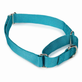 GG Nylon Martingale Collar 18-26In LtB