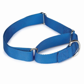 GG Nylon Martingale Collar 14-20In Blu