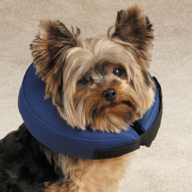 TH Inflatable Collar S Blu