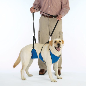GG Lift & Lead 4in1 M Blu