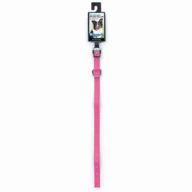 DGR 1/2in Nylon Collar 12in Neon Pink
