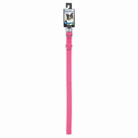 DGR 5/8in Nylon Collar 18in Neon Pink