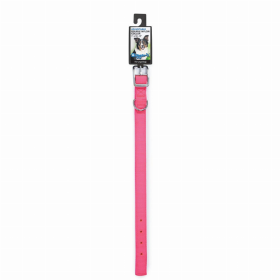 DGR 1in Nylon Collar 18in Neon Pink
