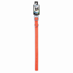 Diggers 1in Nylon Neon Collar 20in Org