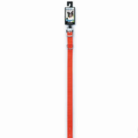 DGR 3/4in Nylon Collar 18in Neon Org