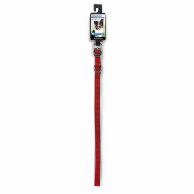 Diggers 5/8in Nylon Collar 12in Red