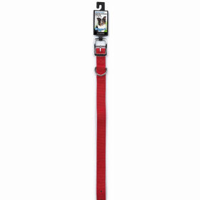 DGR 1in Dbl Nylon Collar 28in Red