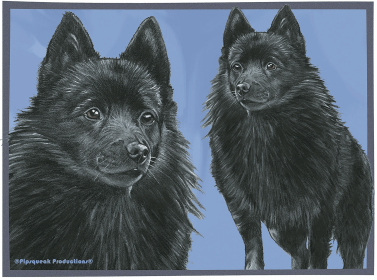 Schipperkees - Best of Breed Dog Breed Fleece Blanket