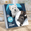 2026 Dog A Day Daily Desktop Calendar