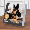 2026 Dog A Day Daily Desktop Calendar