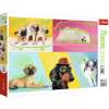 Jigsaw Puzzles - "1000 Neon Color Line" - Far out dogs / Trefl