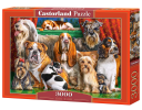 3000 Piece Jigsaw Puzzle, 1000 Piece Jigsaw Puzzle
