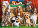 3000 Piece Jigsaw Puzzle, 1000 Piece Jigsaw Puzzle