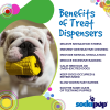 Corn on the Cob Dog Toy - Durable Rubber Treat Dispenser
