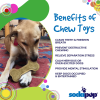 Bone eChew Ultra Durable Nylon Dog Chew Toy for Aggressive Chewers
