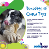 Knuckle Bone Nylon Dog Chew Toy for Aggressive Chewers