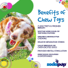 MOD Wishbone Nylon Dog Chew Toy for Aggressive Chewers