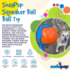 Squeak Ball - Durable Squeaky Dog Toy, Floats, Chew Toy
