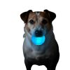 Strobe Ball Light-Up Dog Toy - Durable Floating Chew Ball