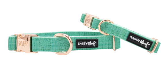 Collar (Color: Teal, size: large)