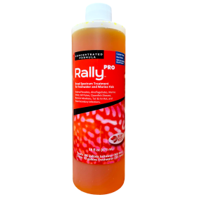 Rally PRO (size: 16 oz)