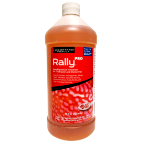 Rally PRO (size: 32 oz)
