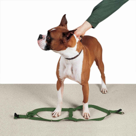 CC Nylon 2 Step Harness 15-25In Grn (Color: Dark Green, size: 15-25in)