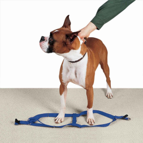 CC Nylon 2 Step Harness 25-40In Blu (Color: Royal Blue, size: 25-40in)