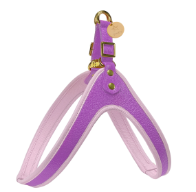 HARNESS - EVERGREEN LUSH (Color: EVERGREEN LUSH, size: XS)
