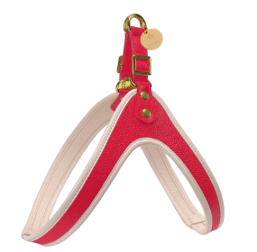 HARNESS - EVERGREEN LUSH (Color: EVERGREEN LUSH, size: S)