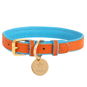 COLLAR - VIBRANT SUNSET (Color: VIBRANT SUNSET, size: S)