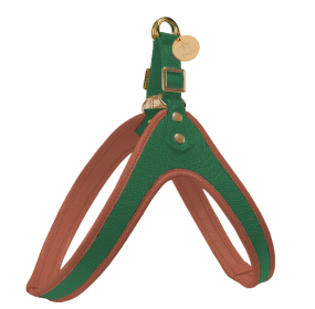 STEP-IN HARNESS - EVERGREEN LUSH (Color: EVERGREEN LUSH, size: L)