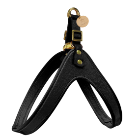 HARNESS - DESERT MINT (Color: DESERT MINT, size: XS)