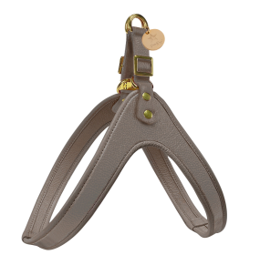 HARNESS - DESERT MINT (Color: DESERT MINT, size: S)