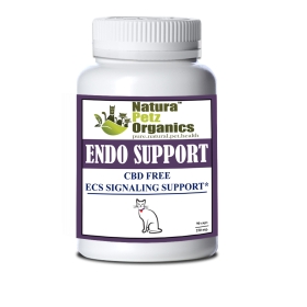 Endo Support Capsules For Dogs And Cats* Endocannabinoid System Support For Dogs & Cats* (size: 150 Capsules CAT / 250 mg. Capsules)