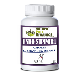 Endo Support Capsules For Dogs And Cats* Endocannabinoid System Support For Dogs & Cats* (size: 150 Capsules DOG / 500 mg.)