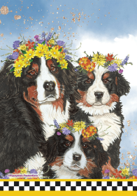 Bernese Mountain Dog GFS559   Pipsqueak Productions Outdoor Floral Flag (size: Garden 12" x 17")