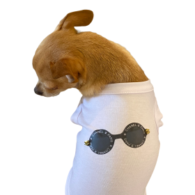 My Summer CC Sunnies (size: medium)