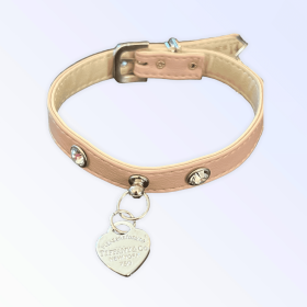 Pretty in Pink and Sniffany Collar (size: 18")