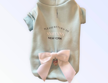 Return to Sniffany Hoodie (Color: Blue, size: large)