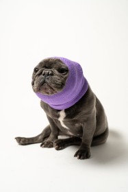 PET HOODZ DOG HOODIES FOR ANXIETY (Color: Lavender, size: medium)