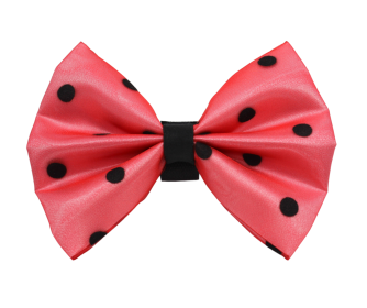 PR1001|Pets Ribbons (Color: 10, size: 3")