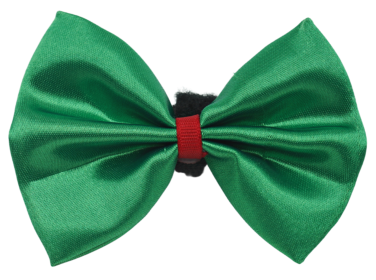 PR3000X|Pets Ribbons (Color: Green, size: 6")
