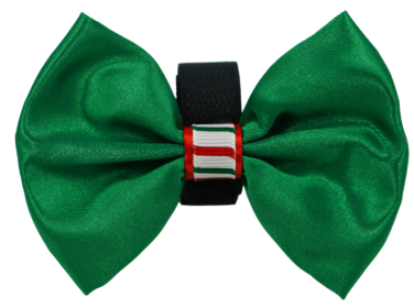 PR3000XCS|Pets Ribbons (Color: Green, size: 2")
