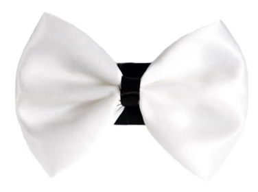 PR3001|Pets Ribbons (Color: 9, size: 2")