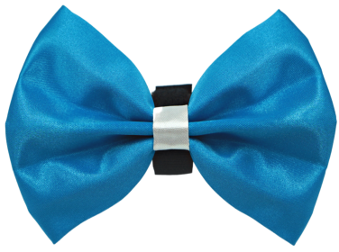 PR3001|Pets Ribbons (Color: 1, size: 3")