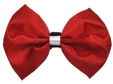 PR3001VA|Pets Ribbons (Color: Red-White, size: 3")