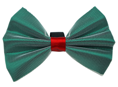 PR3004X|Pets Ribbons (Color: Green, size: 4")