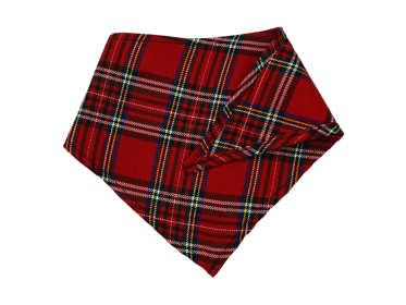 GG142FB|Pets Ribbons (size: large)